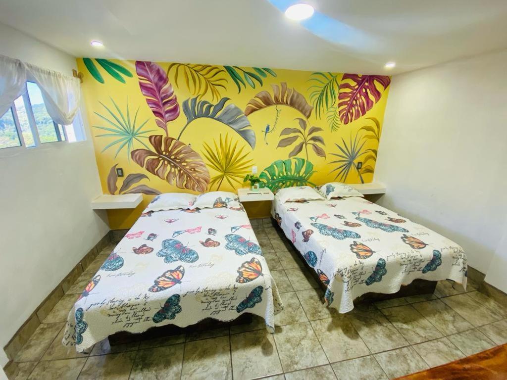K&M Hotel Xilitla Eksteriør billede